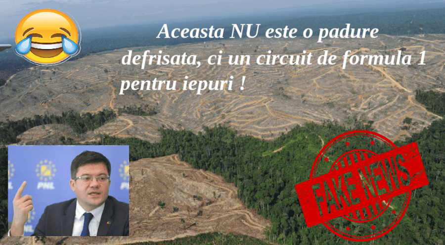 padure-defrisata (1)